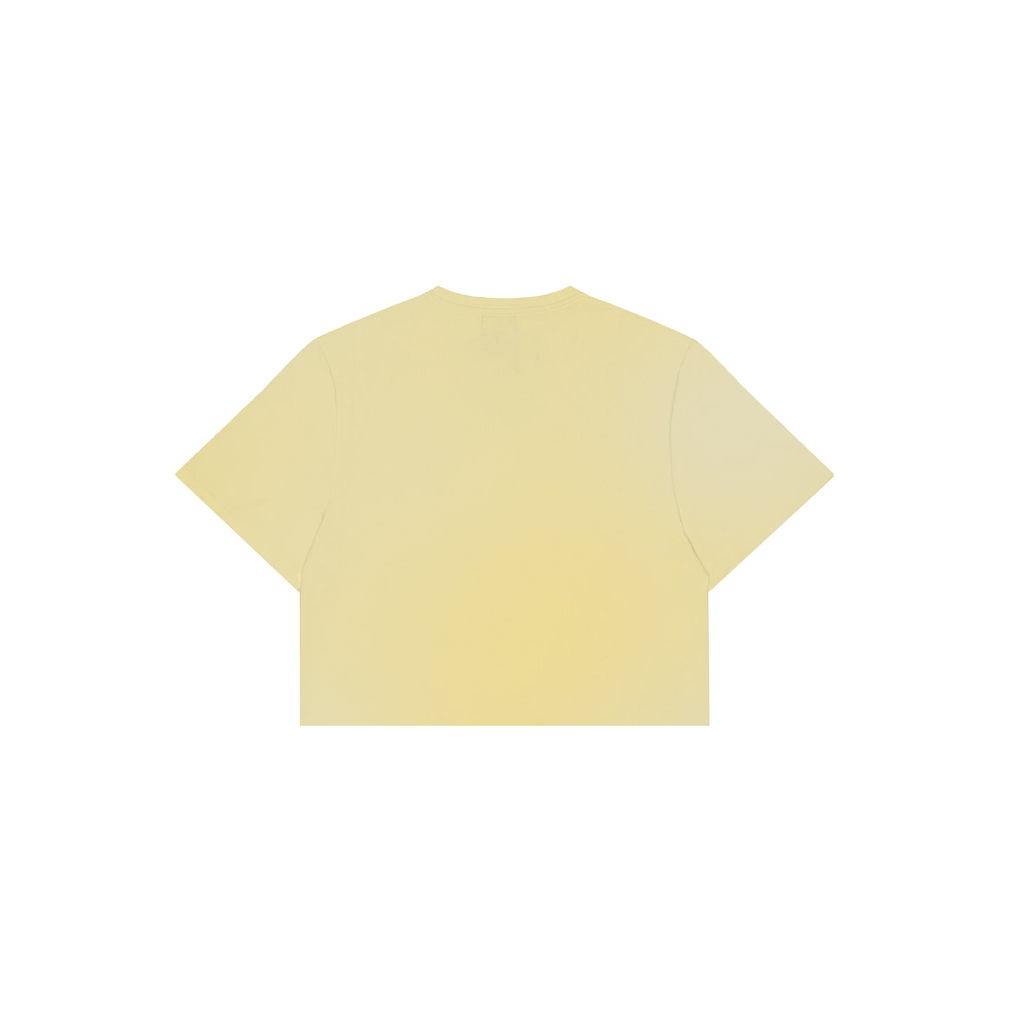 CREAM BEAR CROP TEE